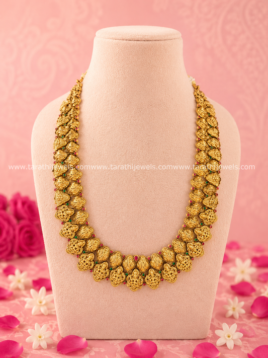 Premium Quality Lakshmi Devi Haaram HA437