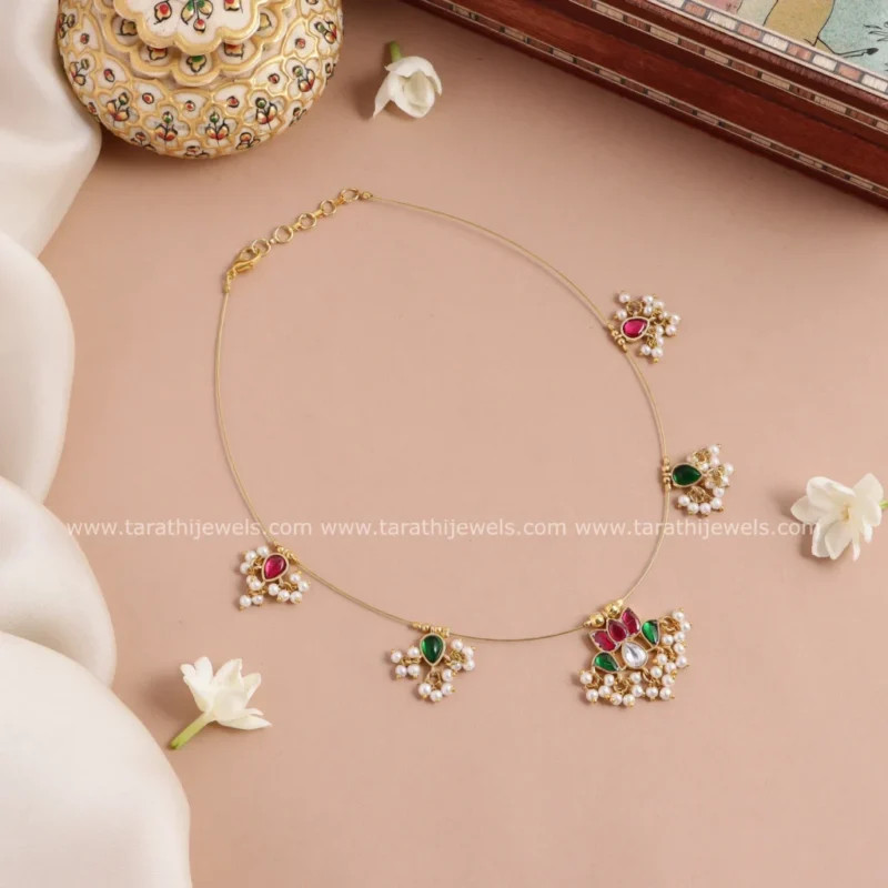 Dhanvi Invisible Necklace N754